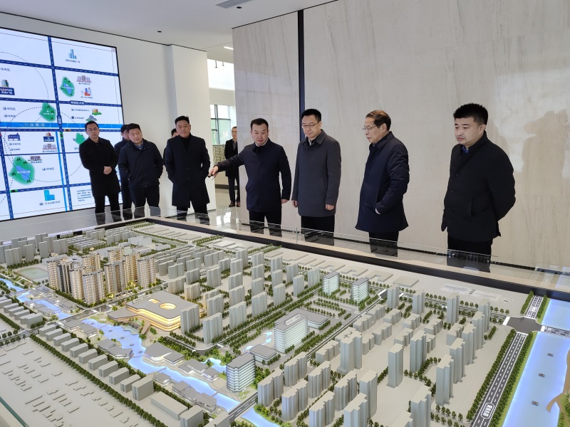 戴勇區(qū)長調研新民河產城融合項目